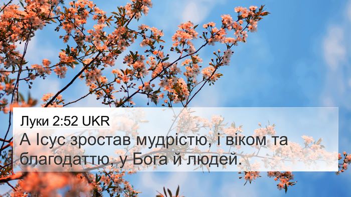 Луки 2:52 UKR Bible Verse Image