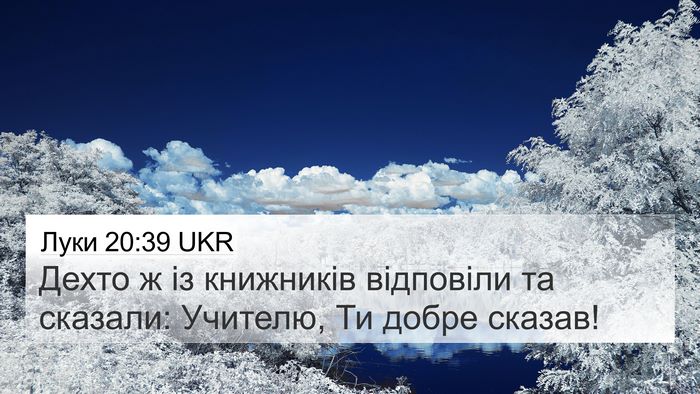 Луки 20:39 UKR Bible Verse Image