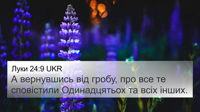 Луки 24:9 UKR Bible Verse Image