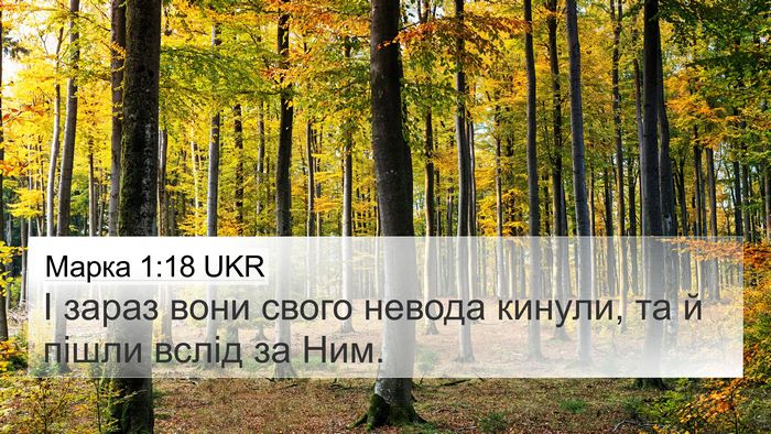 Марка 1:18 UKR Bible Verse Image