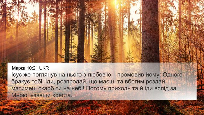 Марка 10:21 UKR Bible Verse Image