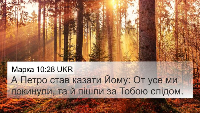 Марка 10:28 UKR Bible Verse Image