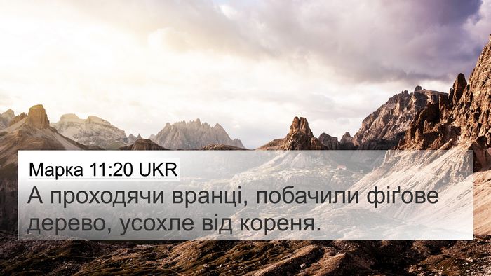 Марка 11:20 UKR Bible Verse Image