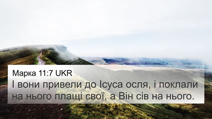 Марка 11:7 UKR 4K Wallpaper - І вони привели до Ісуса - 4K Wallpaper Bible Verse