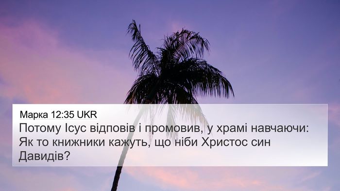 Марка 12:35 UKR Bible Verse Image