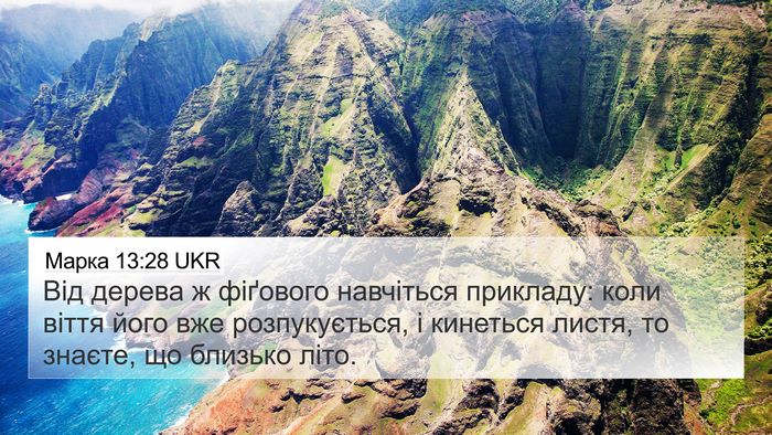 Марка 13:28 UKR Bible Verse Image