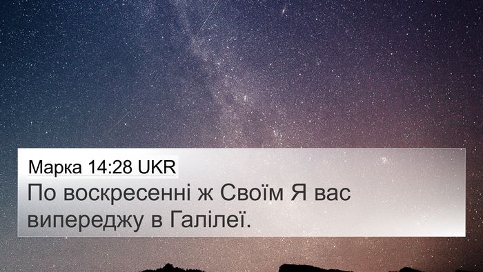 Марка 14:28 UKR Bible Verse Image