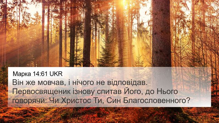 Марка 14:61 UKR Bible Verse Image