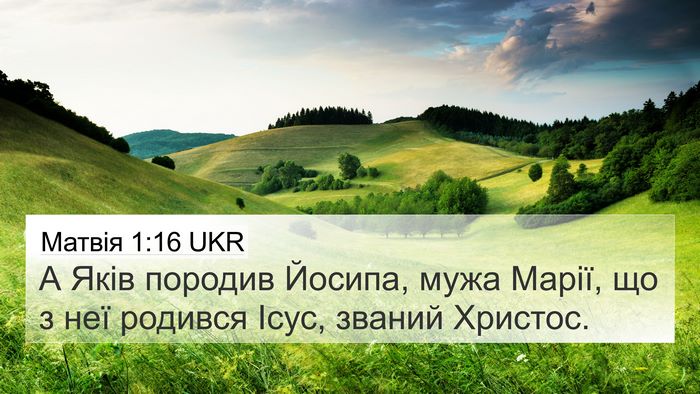 Матвія 1:16 UKR Bible Verse Image