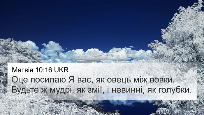 Матвія 10:16 UKR Bible Verse Image