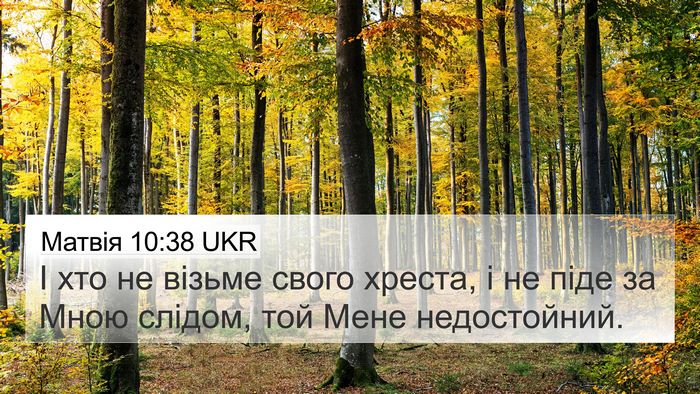 Матвія 10:38 UKR 4K Wallpaper - І хто не візьме свого - 4K Wallpaper Bible Verse