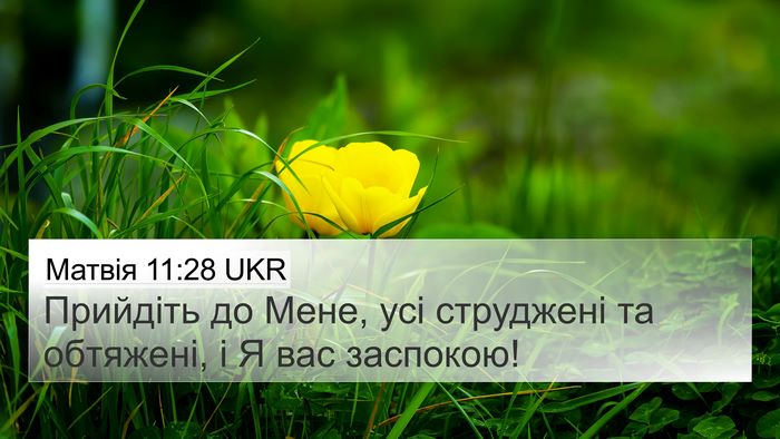 Матвія 11:28 UKR Bible Verse Image