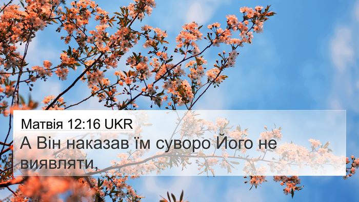 Матвія 12:16 UKR Bible Verse Image