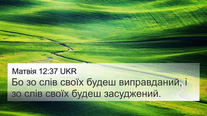 Матвія 12:37 UKR Bible Verse Image