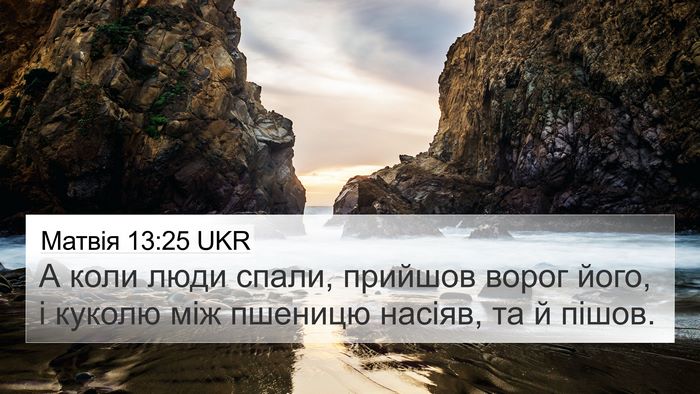 Матвія 13:25 UKR Bible Verse Image