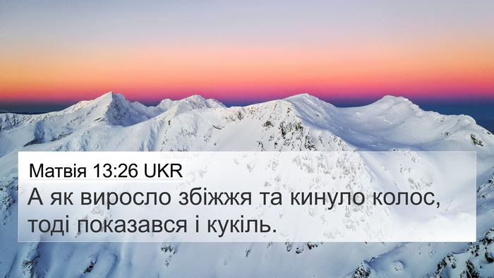 Матвія 13:26 UKR 4K Wallpaper - А як виросло збіжжя та - 4K Wallpaper Bible Verse
