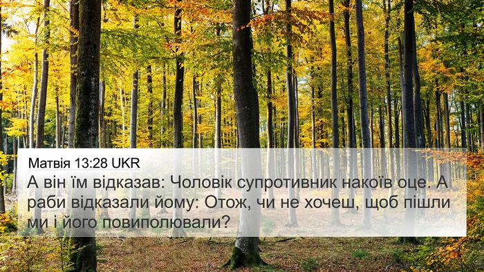 Матвія 13:28 UKR 4K Wallpaper - А він їм відказав: Чоловік - 4K Wallpaper Bible Verse