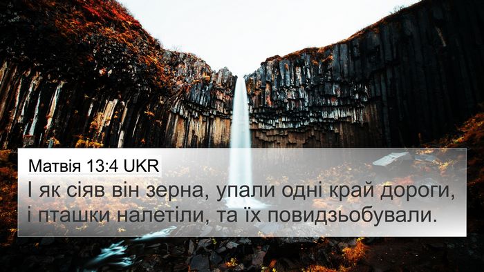 Матвія 13:4 UKR 4K Wallpaper - І як сіяв він зерна, упали - 4K Wallpaper Bible Verse