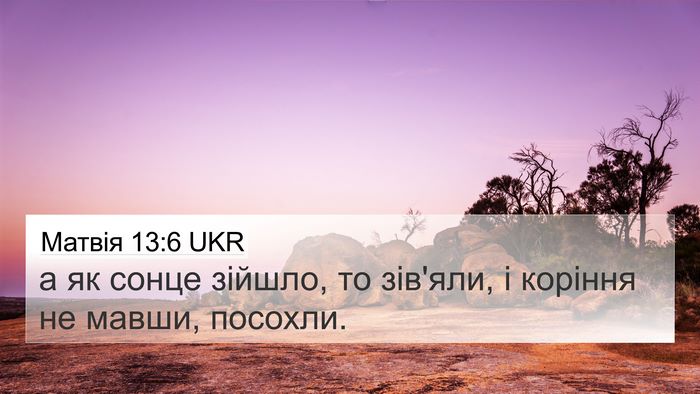 Матвія 13:6 UKR 4K Wallpaper - а як сонце зійшло, то - 4K Wallpaper Bible Verse