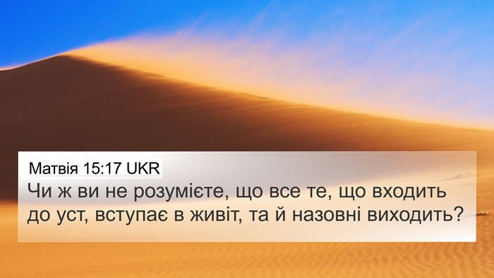Матвія 15:17 UKR Bible Verse Image