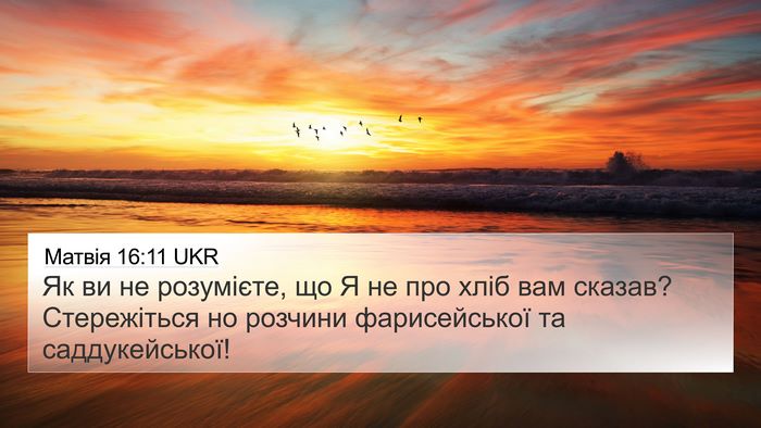 Матвія 16:11 UKR Bible Verse Image