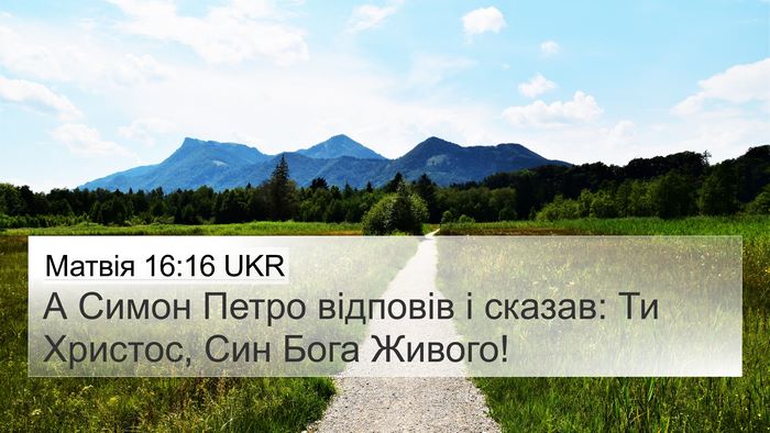 Матвія 16:16 UKR Bible Verse Image