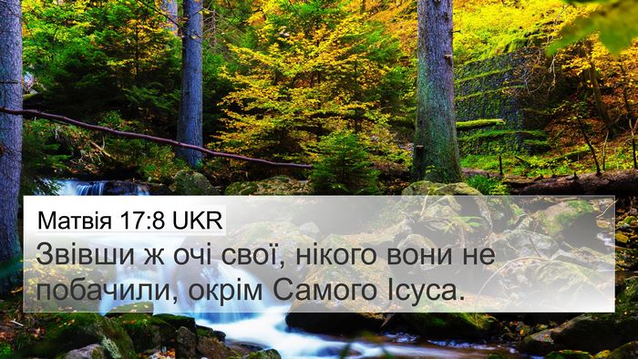 Матвія 17:8 UKR 4K Wallpaper - Звівши ж очі свої, нікого - 4K Wallpaper Bible Verse