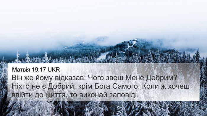 Матвія 19:17 UKR Bible Verse Image