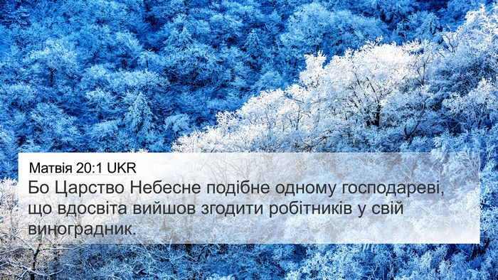 Матвія 20:1 UKR Bible Verse Image