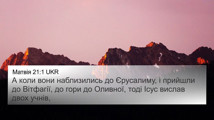 Матвія 21:1 UKR Bible Verse Image