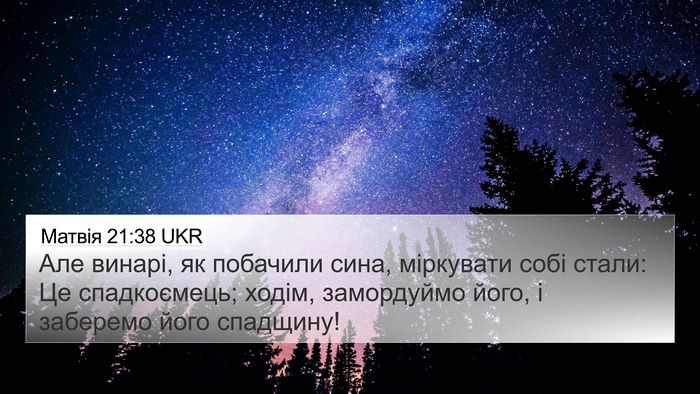 Матвія 21:38 UKR Bible Verse Image