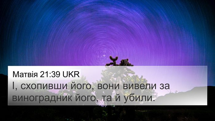 Матвія 21:39 UKR 4K Wallpaper - І, схопивши його, вони - 4K Wallpaper Bible Verse