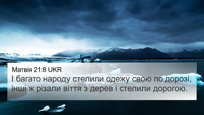 Матвія 21:8 UKR 4K Wallpaper - І багато народу стелили - 4K Wallpaper Bible Verse