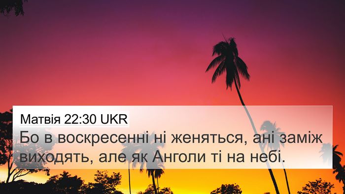 Матвія 22:30 UKR Bible Verse Image