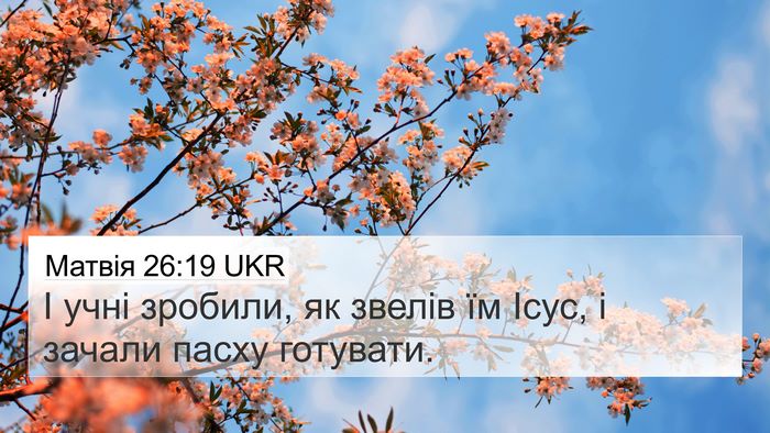 Матвія 26:19 UKR Bible Verse Image