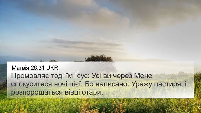Матвія 26:31 UKR Bible Verse Image