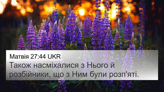 Матвія 27:44 UKR Bible Verse Image