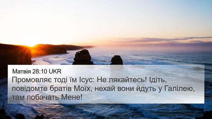 Матвія 28:10 UKR Bible Verse Image