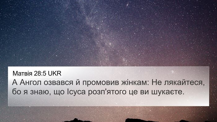 Матвія 28:5 UKR Bible Verse Image