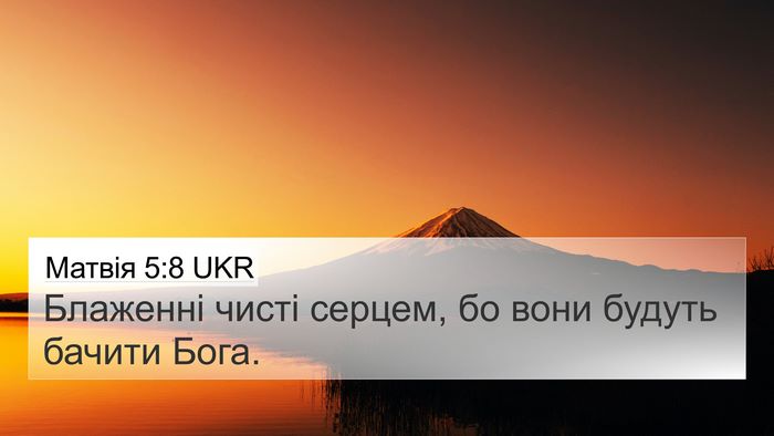 Матвія 5:8 UKR Bible Verse Image