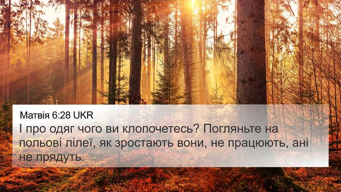 Матвія 6:28 UKR Bible Verse Image