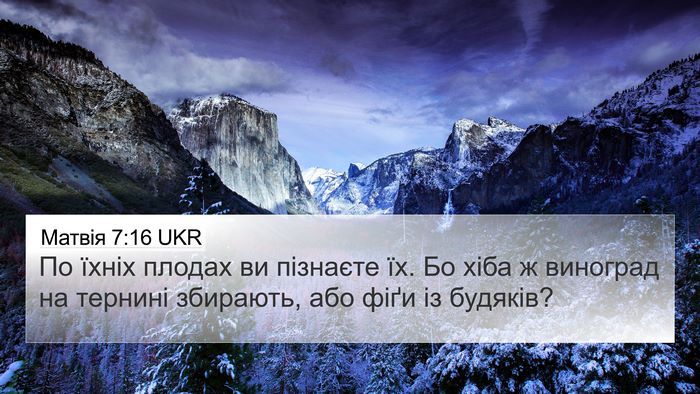 Матвія 7:16 UKR Bible Verse Image