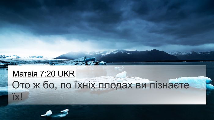 Матвія 7:20 UKR 4K Wallpaper - Ото ж бо, по їхніх плодах ви - 4K Wallpaper Bible Verse