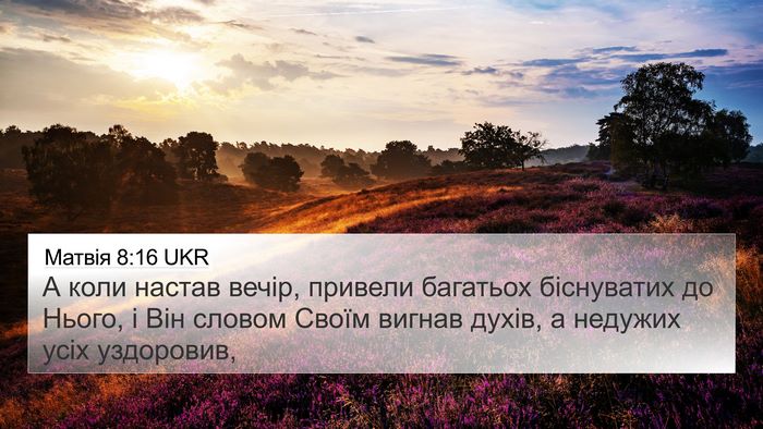Матвія 8:16 UKR Bible Verse Image