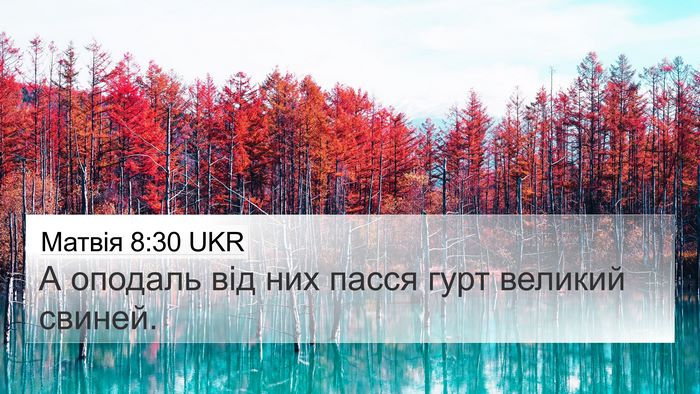 Матвія 8:30 UKR Bible Verse Image