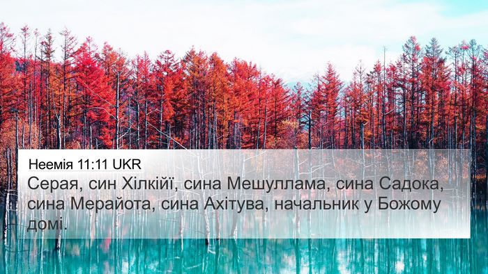 Неемія 11:11 UKR Bible Verse Image