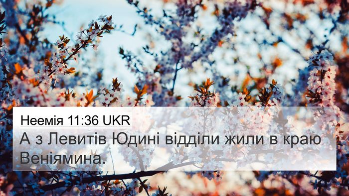 Неемія 11:36 UKR 4K Wallpaper - А з Левитів Юдині відділи - 4K Wallpaper Bible Verse