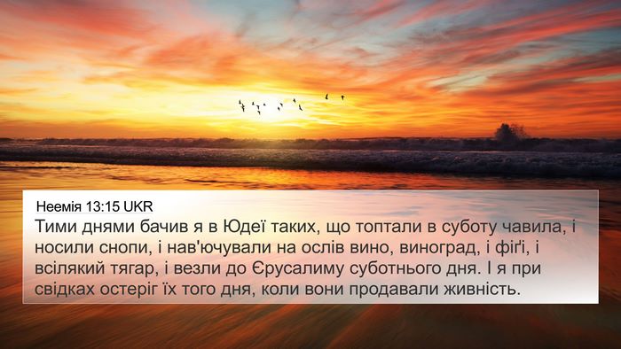 Неемія 13:15 UKR Bible Verse Image
