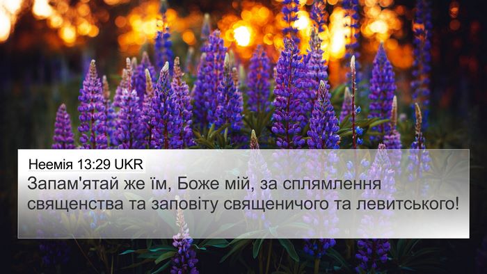 Неемія 13:29 UKR Bible Verse Image