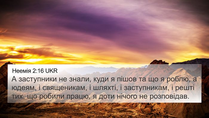 Неемія 2:16 UKR Bible Verse Image